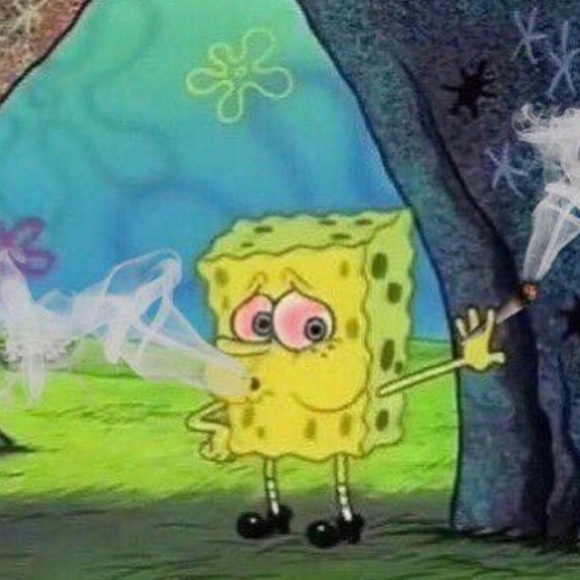 Meet your Posher, Julia - Picture 1 of 1